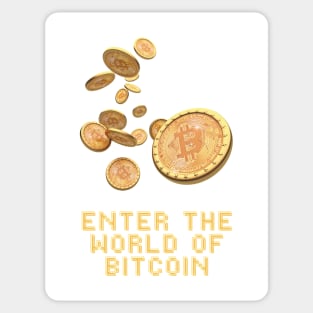 Enter The World Of Bitcoin Sticker